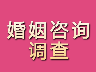 仪陇婚姻咨询调查